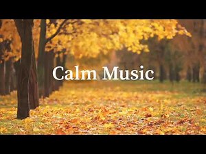 Calm Music | Relaxing Music | Soft Music | Sleeping Music | Chill Music