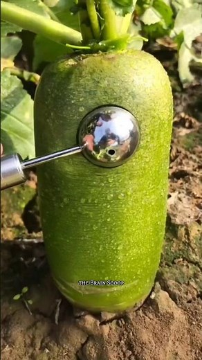 Easy Or Simple Life Hacks, जो आपके बहुत काम आयेंगे