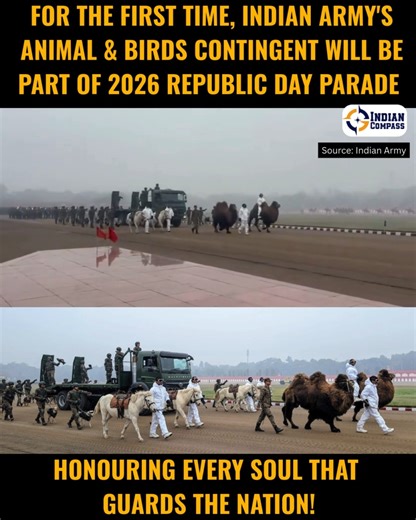 Indian Compass on Instagram: "Meet the Indian Army's Remount & Veterinary Corps (RVC)! [indian army, rvc, republic day parade]"