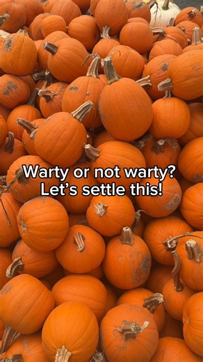We’re on a mission to find out: Do you go for warty pumpkins or smooth pumpkins? 🎃 Drop your vote in the comments! ​​#WestwoodGardens #WestwoodPlants #NWA #FallGardening #Pumpkins | Westwood Gardens