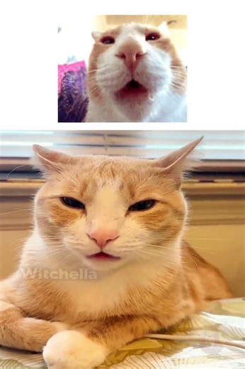 Tell A Brainless Story In 3 Words MAX