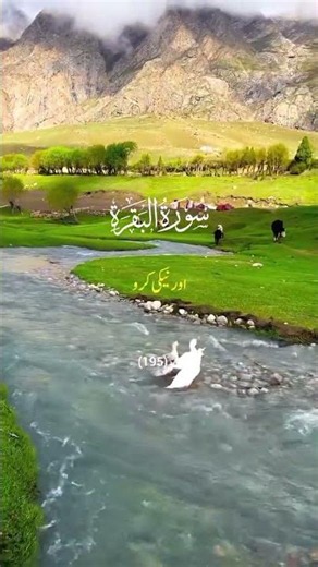 Surah al baqarah ayat 195 |Al quran Translation#tarjuma