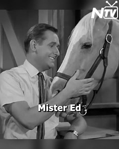 22K views · 922 reactions | Mister Ed Had a Different Cast and a Different Horse | Nostalmania TV | Facebook