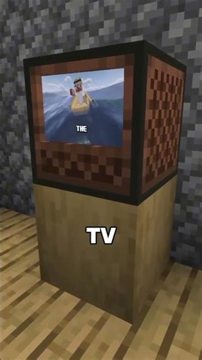 This mod adds real TVs #mods #minecraft
