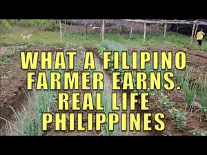 What A Filipino Farmer Earns. Real Life Philippines.