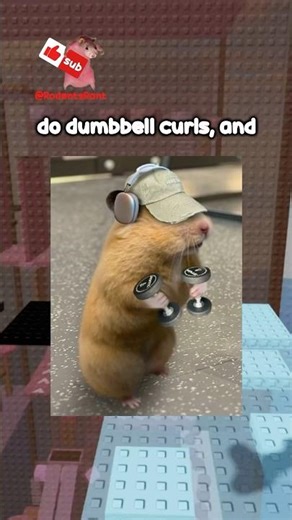 I went to the Gym at the WORST time 😤