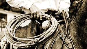 How the city of Vacaville got its name in California