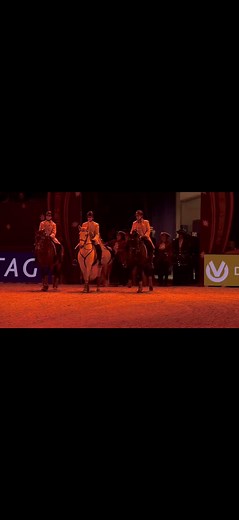 So kann das Jahr zu Ende gehen. Abschluss in der Frankfurter Festhalle🎠 #pferd #viral #equestrian #reitsport #barockreiten #show #fyp