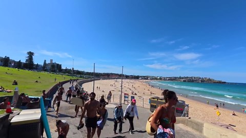 The ocean looked harmless - until the deadliest octopus appeared