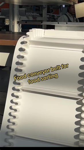 Food conveyor belt manufacturer for sorting equipment #foodconveyor #foodconveyorbelt #health #foodsafety #conveyorbelt #foodindustry #foodgrade