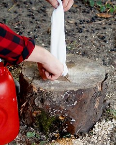 Traceless Stump Burning | Creative Panda