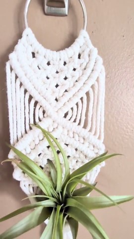 Macrame Air Plant Holder | Boho Wall Hanging, Minimalist Indoor Decor, Cotton Cord, 2-inch Ring - Etsy