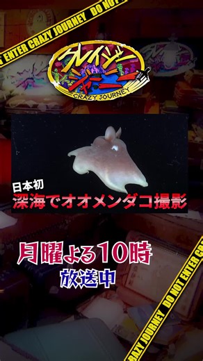深海最強トリオが超貴重な生物を探索