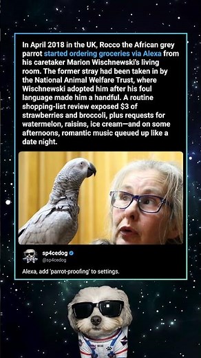 Parrot Orders Groceries Through Alexa in UK