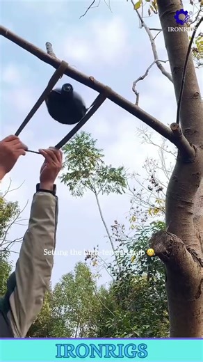 This master of the wild builds a spring-loaded knife trap with unbelievable speed 🔥#skills