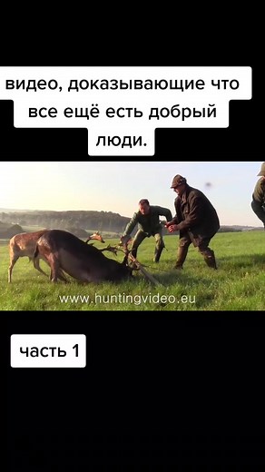 делай добро и тебя вернётся #врек #втоп #хочуврекомендации #добро #люди #животные