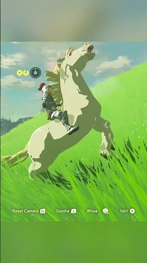 Taming the Royal White Horse in The Legend of Zelda: Breath of the Wild