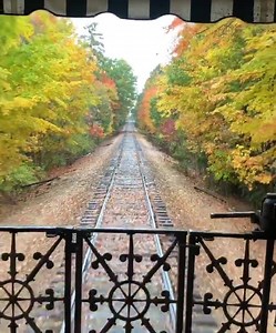 “The best way to see New England is in the fall.” – Michelle, Trafalgar Travel Director How stunning is the combination of fiery red, orange and yellow flames of fall foliage in New Hampshire? 🍂🍁 Fall in love with fall on our Autumn Colours trip 👉 http://fal.cn/rSW2 📽️ Instagram: Mmchellemybelle | Trafalgar Travel