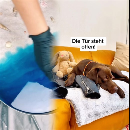 Würdet ihr für Leberwurst auch euren besten Freund eintauschen Mein Assistent lässt mich einfach