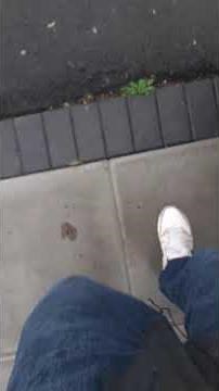 Mondeo mk4 DPF forced regeneration