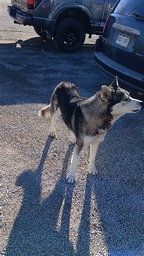 Meet The Mayor of Fort Garland Colorado