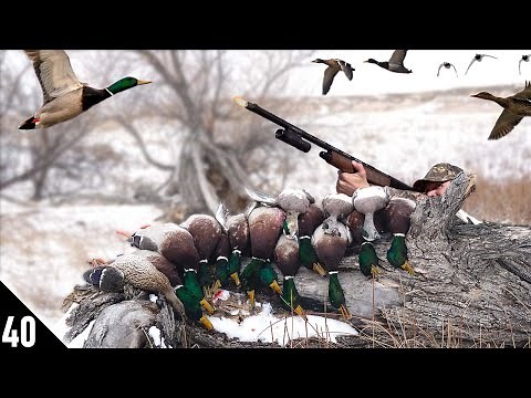 MALLARD LIMITS on a HEATED SLOUGH with a 28 GAUGE! | Duck Hunting 2020