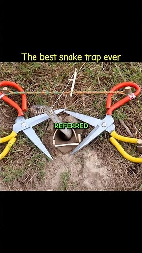 The best snake trap ever #snaketrap #short