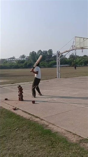 one player in every team #shortsfeed #cricket