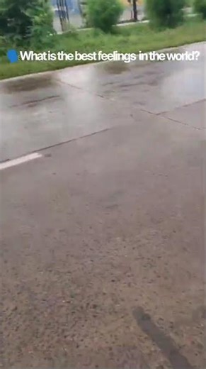 #volkswagen #vwpolo #cars #travels #yt #youtubesorts