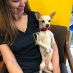 Walking Dogs at our Rescue Care Center - Lost Dog & Cat Rescue Foundation