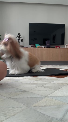 🫶 vídeo de treino pra vcs