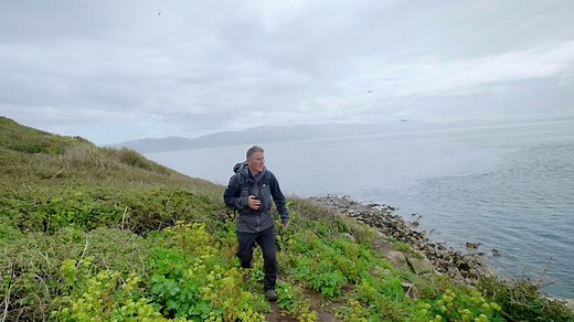 The unique call of the eider duck