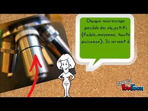 Les différentes parties et fonctions du microscope