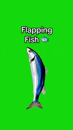 Flapping Fish Meme Green Screen CapCut Template