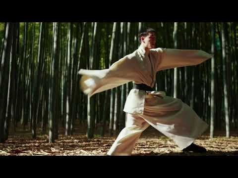 American Hung Sing Kwoon quick introduction