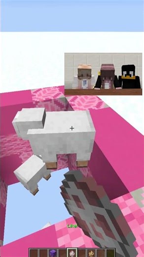 Who makes the best music? 🤔😎#minecraft #trend