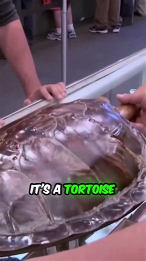 The Price of College: Is This Guitar Made of BANNED Material?! 🤯