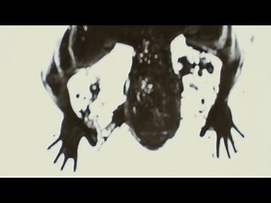 Talking Heads - The Overload (Beyond the Black Rainbow 2010)