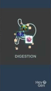 Microbiology Made Fun | Meet the Invisible World of Microbes