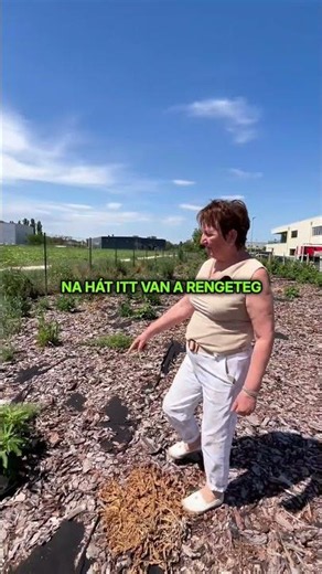 Több száz növény az üzem körül 🌱 Edith néni kertje a manufaktúránál