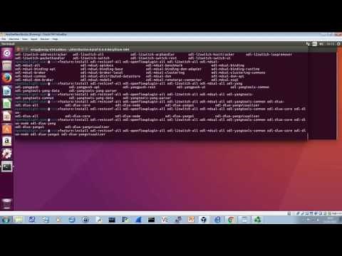 OpenDayLight Flow Manager Installation