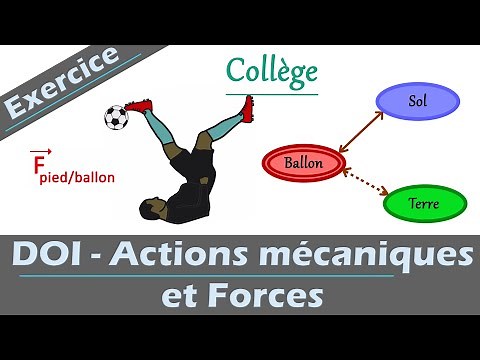 Exercice corrigé ✔️: DOI, actions mécaniques et forces | Physique chimie | Collège