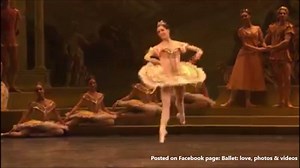 9.3K views · 448 reactions | Sylvia Darcey Bussell | Ballet: love, photos & videos | Facebook