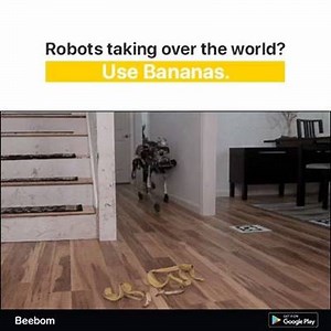 Lol. Robots Are Stupid. 😎 | Beebom