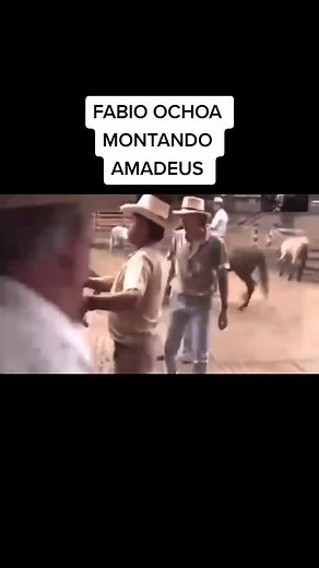 Fabio Ochoa Montando Caballos Paso Fino