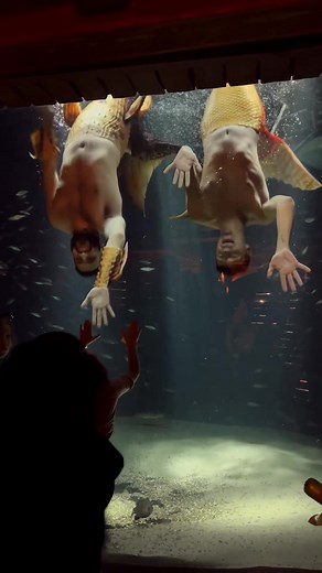 Merman Andrew on TikTok