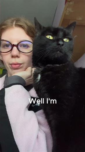 Home music production vs. Pets