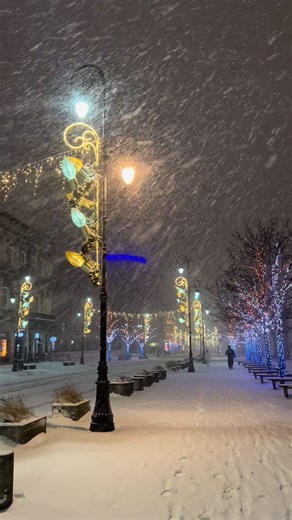 Julia Strus (@julia.strus3)’s videos with original sound - WildCraftedStudio