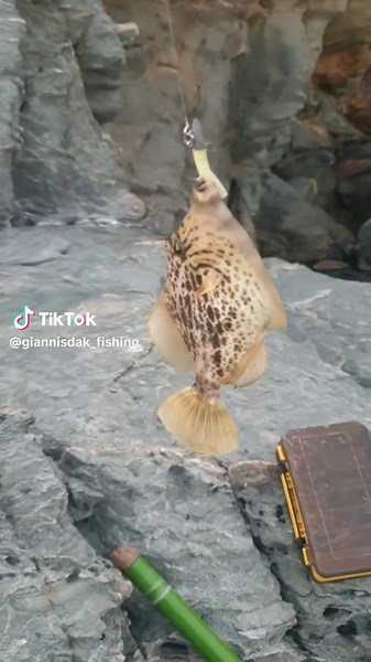 Catch and Release Fishing Techniques