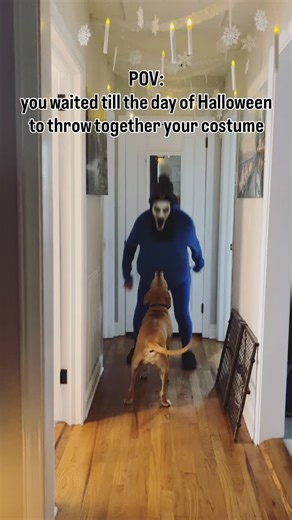 Help us name this costume & let’s pick a winner⬇️🥲 Zombie Lorax ate an Oompa Loompa? Are you this type or are you the one who’s had your costume planned for months?👀 Happy Spooky Day!🧟🫐👻 #lastminutecostumes #procrastinationatitsbest #customcostume | Elevated Creations